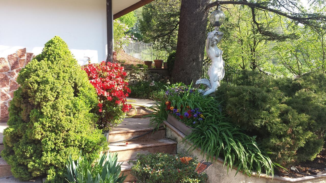 B&B Al Cedro Sporminore Екстериор снимка