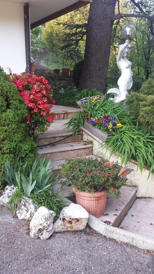 B&B Al Cedro Sporminore Екстериор снимка